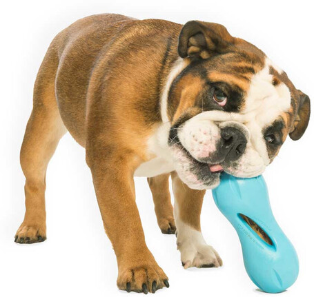 West Paw Qwizl - Jutalomfalattal tölthető rágóka