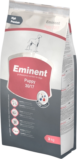 Eminent Puppy - zoom