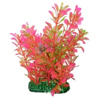 Akváriumi műnövény rózsaszín átmenetes, ovális levelekkel