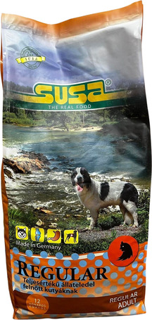 Susa Regular