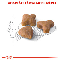 Royal Canin Sensible - Érzékeny emésztésű felnőtt macska száraz táp #2