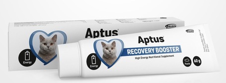 Aptus Recovery Booster Cat lábadozást elősegítő paszta