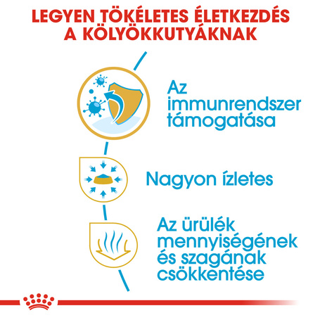 Royal Canin Chihuahua Junior - Csivava kölyök kutya száraz táp