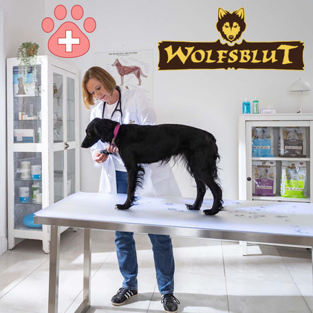 Wolfsblut VetLine Joint Care