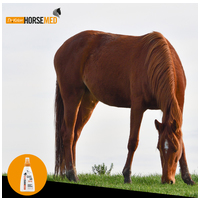 Horsemed SOS sebápoló spray lovaknak #5