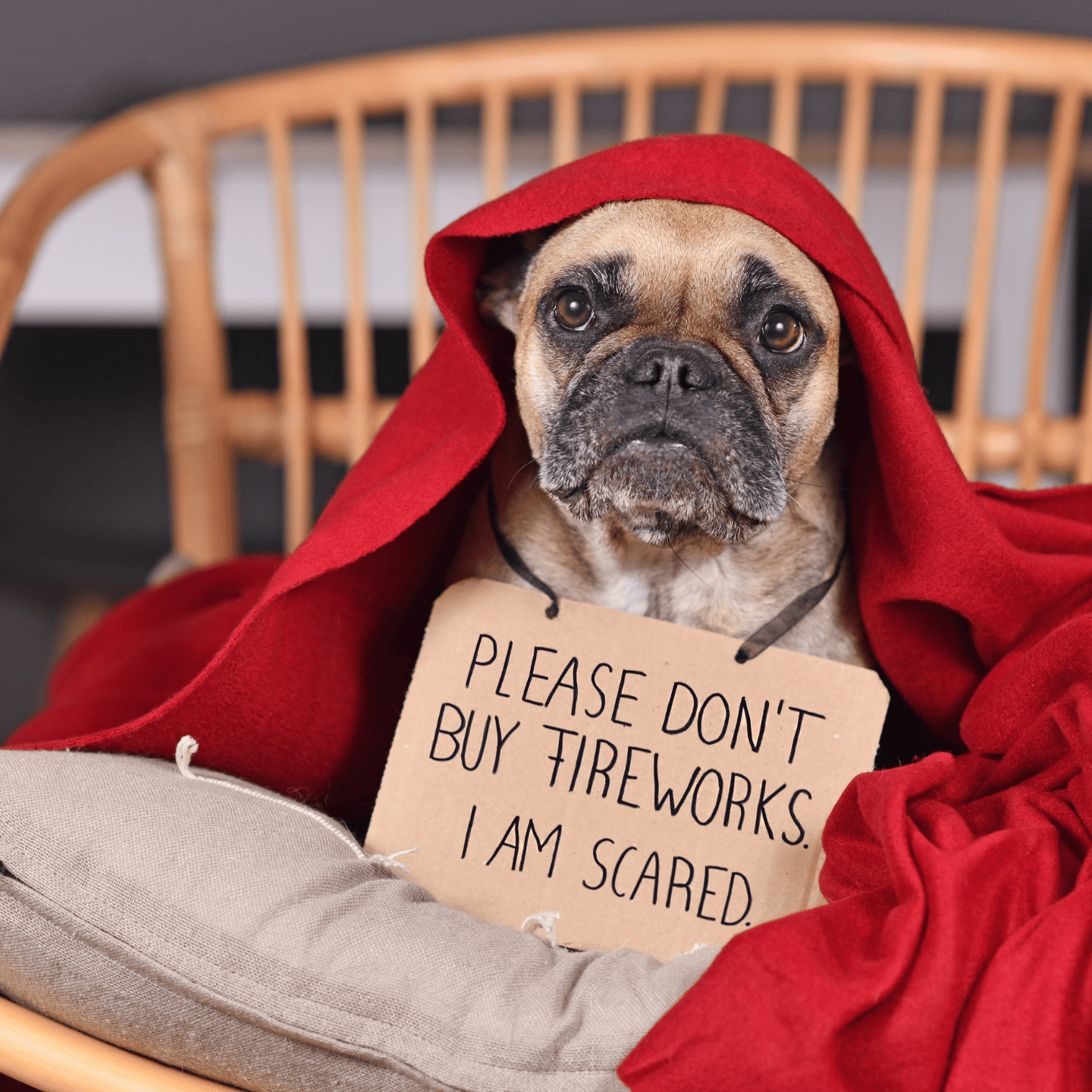 afraid3