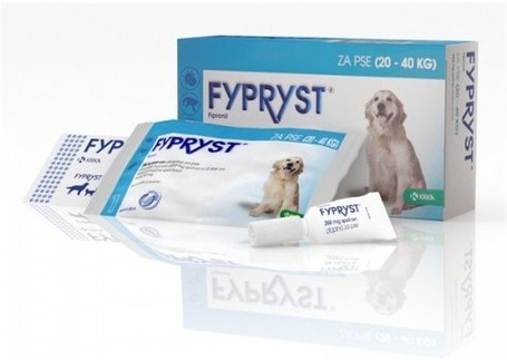 Fypryst rácsepegtető oldat kutyáknak | Élősködők elleni védelem