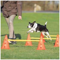 Trixie Dog Activity agility akadálypálya szett