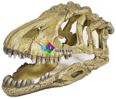 Dinoszaurusz koponya akvárium dekoráció