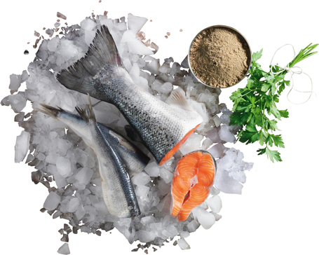 Belcando Finest Grain-Free Salmon