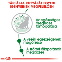 Royal Canin Mini Ageing 12+ | Kistestű idős kutya száraz táp #5