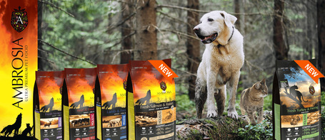 Új ízek, régi lelkesedés – gazdik tapasztalatai az Ambrosia kutya- és macskatápokról