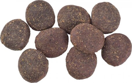 Carnilove True Fresh Dog Adult Beef with Peas & Pumpkin