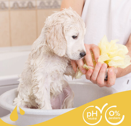 Beaphar sampon kamillával kölyökkutyáknak