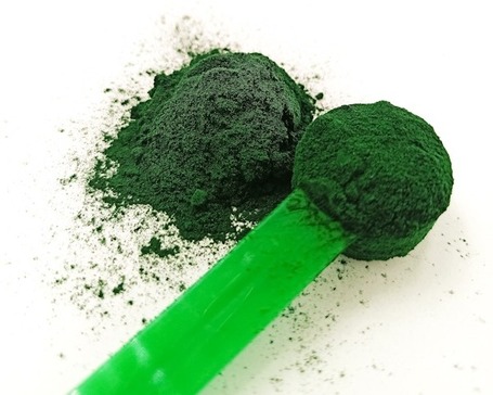 AniFlexi Barfer Spriulina kutyáknak