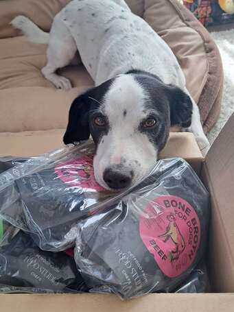 Food Studio fűvel táplált marha csontleves