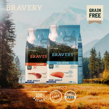 Bravery Dog Adult Mini Grain Free Lamb