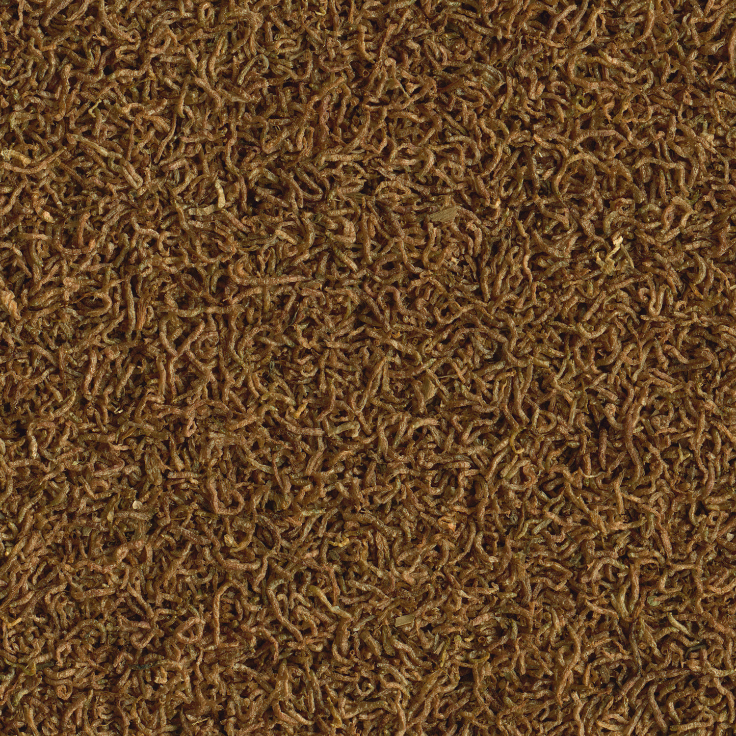 Tetra Delica Rote - Bloodworms - zoom