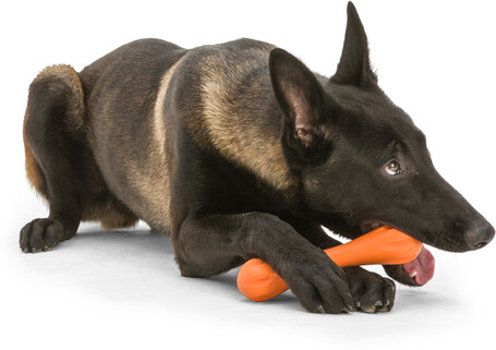 West Paw Hurley - Tartós rágóbot