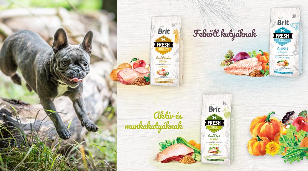 Brit Fresh tápok felnőtt kutyáknak