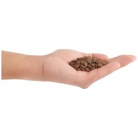 Orijen Original Cat macskaeledel szárnyashúsokból, tojásból és halból #7