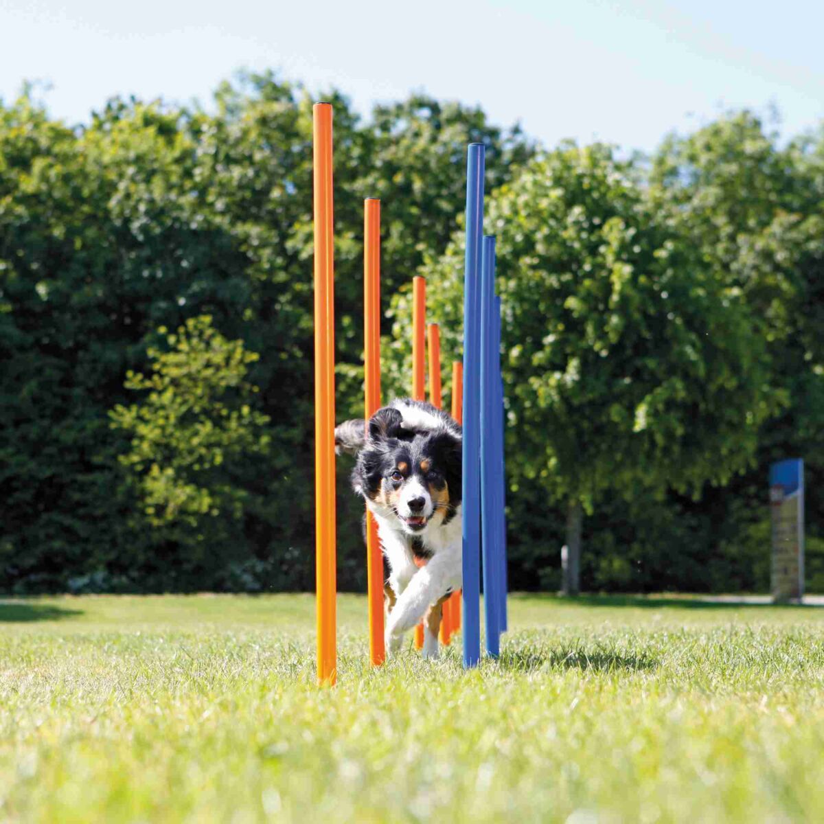 Trixie Dog Activity - Set slalom pentru agilitate - zoom