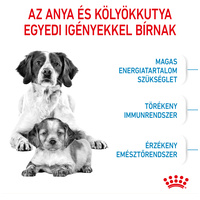 Royal Canin Medium Starter Mother & Babydog - Száraz táp közepes testű vemhes szuka és kölyök kutya részére 2 hónapos korig #2