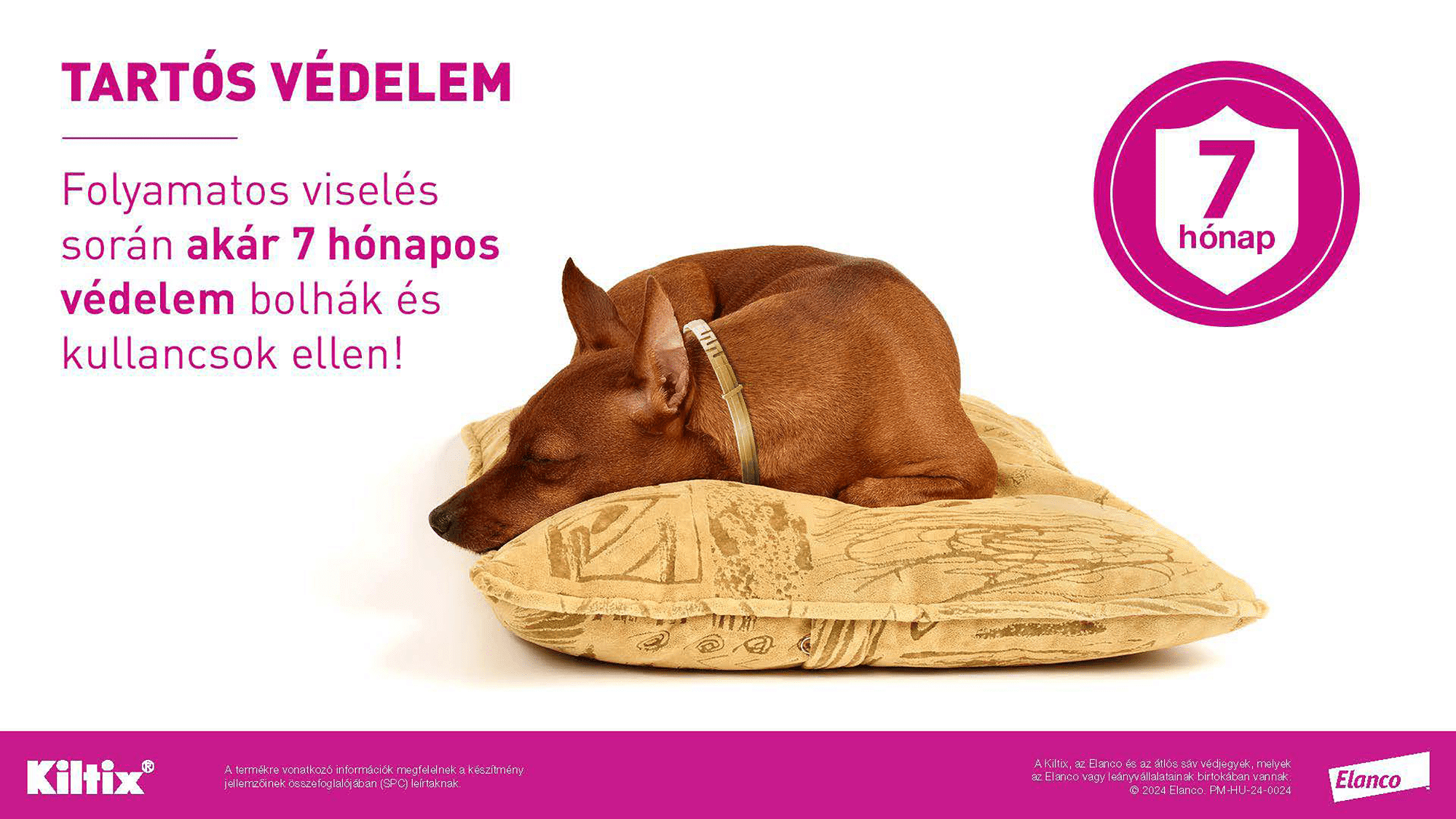 Zgardă Kiltix - zoom