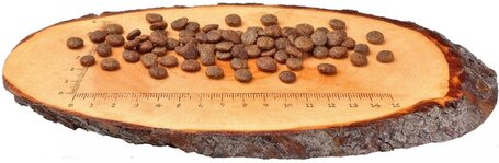 CarniLove Fresh Adult Cat Sterilised ponttyal és pisztránggal