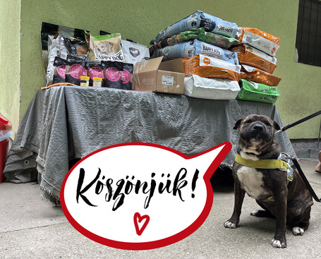 Kedves Támogatók! Köszönjük, hogy ezúttal is gondoltatok a kevésbé szerencsés kutyusokra!