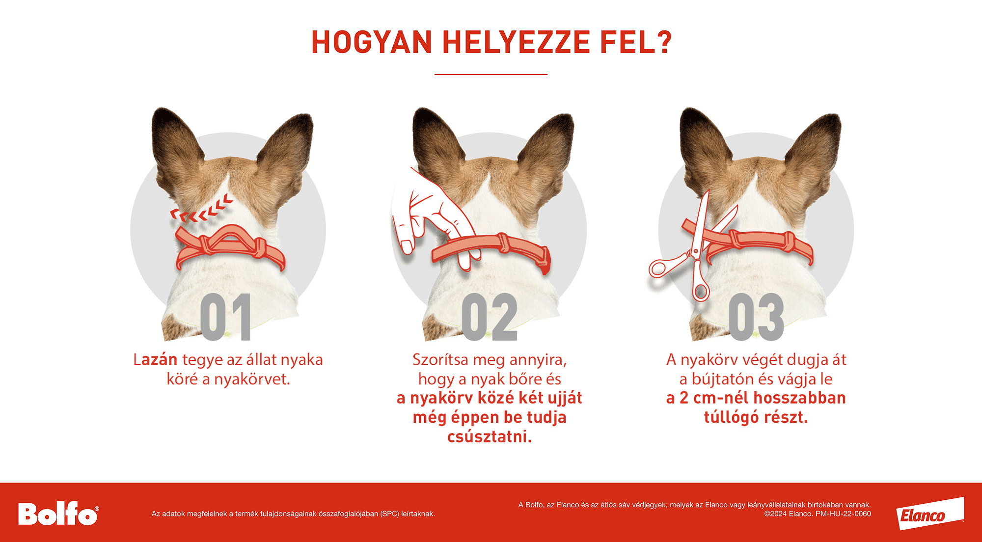 Zgardă Bolfo - zoom