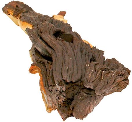 Mopani afrikai vasfa akváriumba