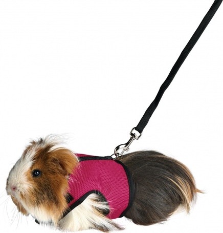 Hámok kisemlősöknek