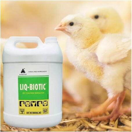 Liq-Biotic hasmenés elleni gyógynövényes itatófolyadék