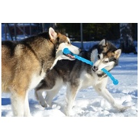 Kong Safestix kutyajáték #5