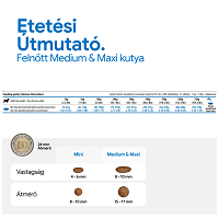 N&D Dog Grain Free Quinoa Skin & Coat Herring – Bőr- és szőrproblémákra | Szuperprémium kutyaeledel #8