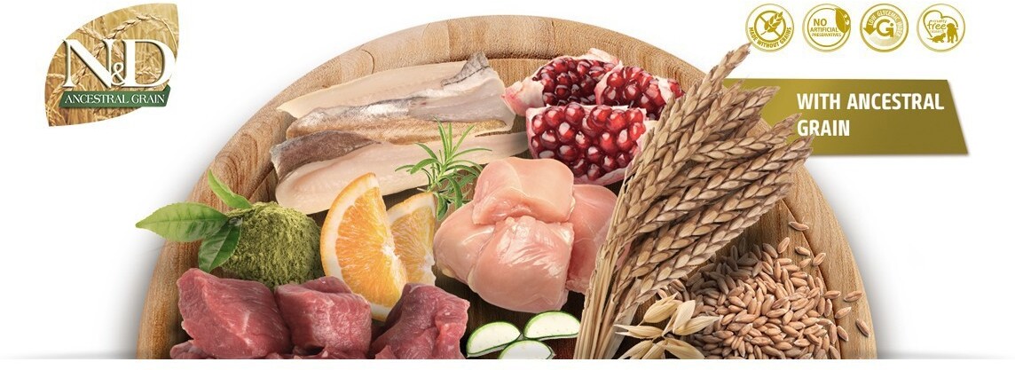 13174 11 10843 18 tagliere prodotti ancestral[1160x472px]