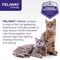 Feliway Friends nyugtató hatású párologtató macskáknak