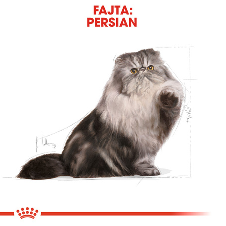 Royal Canin Persian Adult - Perzsa felnőtt macska száraz táp