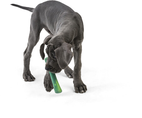 West Paw Seaflex Drifty - Csontot imitáló rágóka