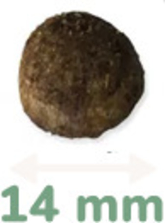 Pro-Nutrition Pure Life Adult Medium