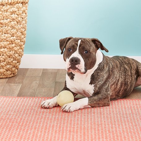 Chuckit! Max Glow - Sötétben világító gumilabda kutyáknak