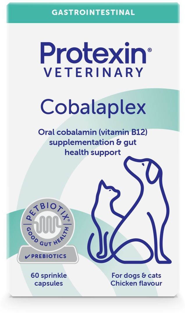 Protexin Cobalaplex capsule cu cobalamină pentru câini și pisici
