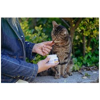 Movoflex Cat ízületvédő rágótabletta macskáknak #3