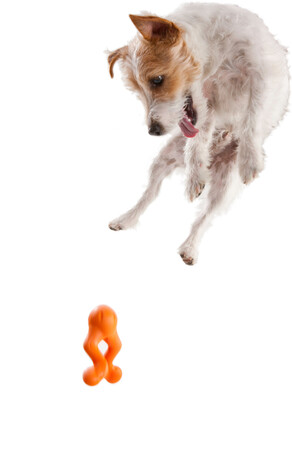 West Paw Tizzi - Multifunkcionális kutyajáték