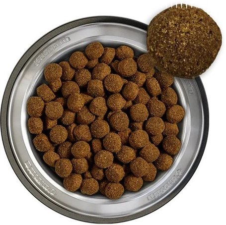 Belcando Baseline Fisher - Magas aktivitású felnőtt kutyák számára