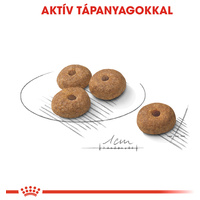 Royal Canin Mini Sterilised - Száraz táp ivartalanított, kistestű felnőtt kutyák részére #3