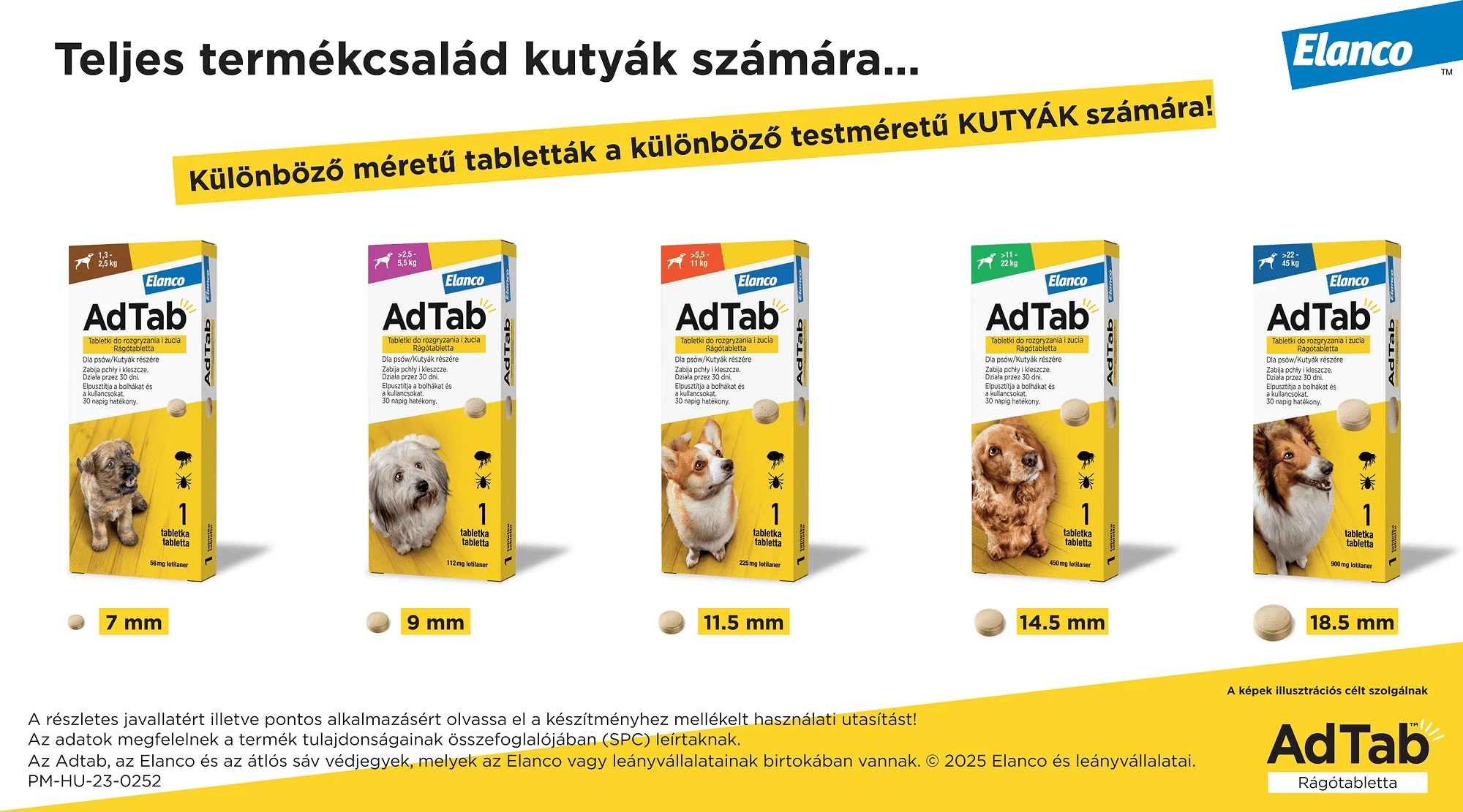 AdTab kutyáknak