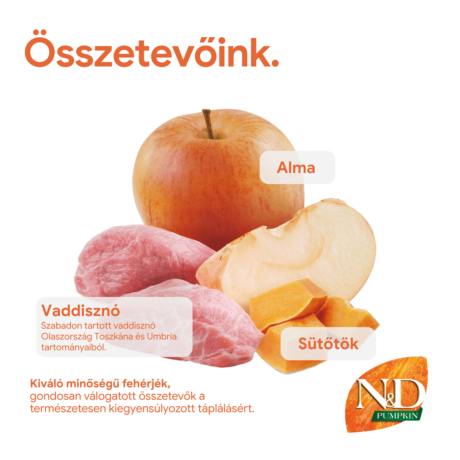 N&D Dog Grain Free Adult Mini sütőtök, vaddisznó & alma