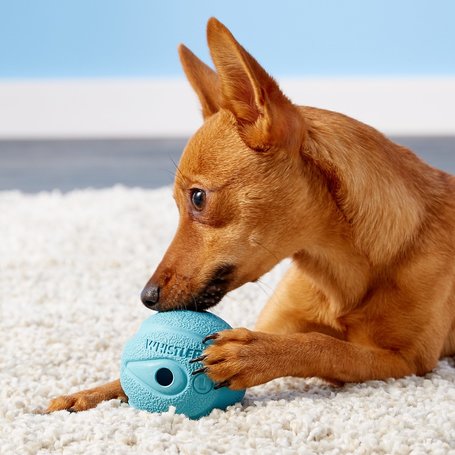 Chuckit! Whistler Balls - Fütyülős labdák kutyáknak